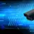 Affordable Security Monitoring with Fixed Focal Length Lens